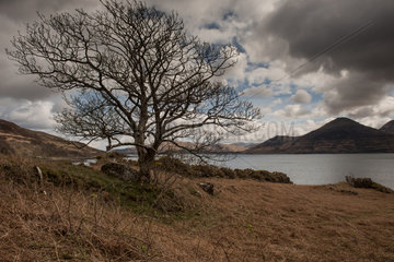 Tobermory  Grossbritannien  Landschaft an der Kueste der Isle of Mull in Schottland