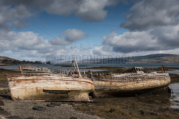 Tobermory  Grossbritannien  Schiffswrack an der Kueste der Isle of Mull