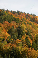 St. Maergen  Deutschland  Schwarzwald in Herbstfaerbung