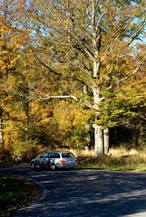Thale  Deutschland  ein Auto auf einer einsamen Landstrasse im Harzer Vorland