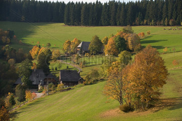 Furtwangen im Schwarzwald  Deutschland  Herbstfaerbung im Stadtteil Linach
