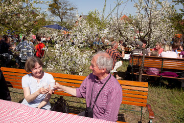 Werder  Deutschland  Besucher auf dem Baumbluetenfest