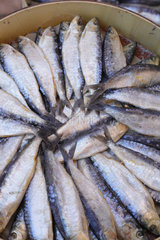 Inca  Mallorca  Spanien  Fische auf einem Wochenmarkt