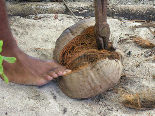 Oeffnen einer Kokosnuss