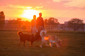 Berlin  Deutschland  Spaziergaenger mit ihren Hunde auf dem Tempelhofer Feld