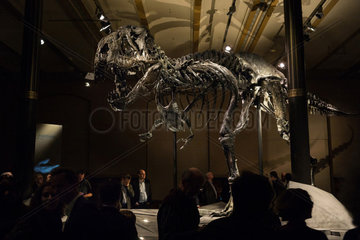 Berlin  Deutschland  Besucher im Naturkundemuseum bei dem Tyrannosaurus rex