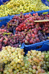 Inca  Mallorca  Spanien  Weintrauben auf einem Wochenmarkt