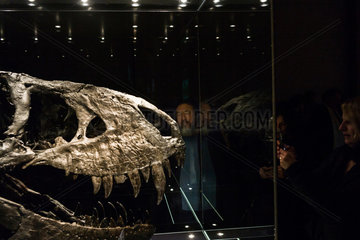 Berlin  Deutschland  Besucher im Naturkundemuseum bei dem Tyrannosaurus rex