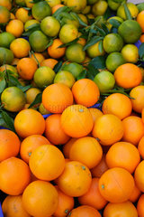 Inca  Spanien  Mandarinen und Orangen auf einem Wochenmarkt auf Mallorca