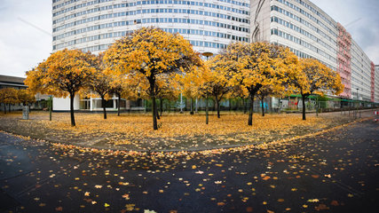 Berlin  Deutschland  Herbststimmung in der Otto-Braun-Strasse am Alexanderplatz