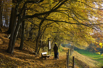 Hilkerode  Deutschland  eine Frau geht im Herbst mit ihrem Kind spazieren