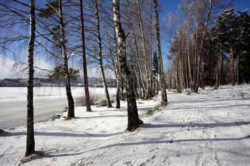 Lippen  Tschechische Republik  Wanderweg am zugefrorenen Lipno Stausee