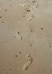 Apollo Bay  Australien  Fussabdruecke im Sandstrand