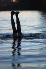 Bolsena  Italien  Silhouette  Junge taucht am Abend in einem See ab