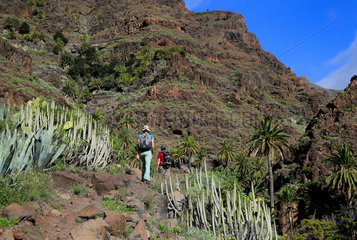 Valle Gran Rey  Spanien  Wanderung von El Guro zum Wasserfall im Barraco von Arure auf La Gomera