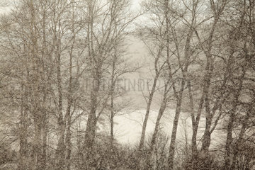 Lippen  Tschechische Republik  Schneefall am Lipno Stausee im Boehmerwald