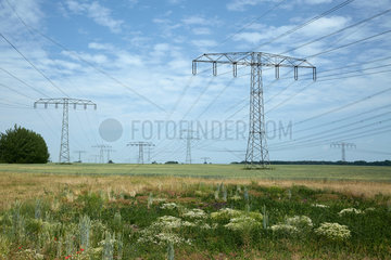 Krummensee  Deutschland  Strommasten auf einem Getreidefeld