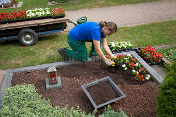 Meerbusch  Deutschland  eine Friedhofsgaertnerin bepflanzt eine Grabstaette