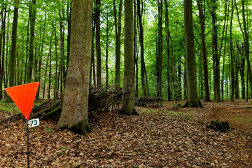 Below  Deutschland  Gedenkstaette Todesmarsch Belower Wald