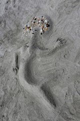 Cape Canaveral  USA  Figur einer Meerjungfrau aus Sand am Strand