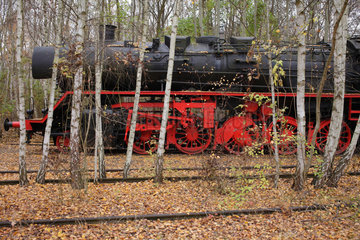 Berlin  Deutschland  eine Dampflokomotive im Natur-Park Schoeneberger Suedgelaende