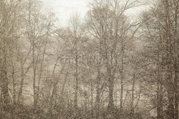 Lippen  Tschechische Republik  Schneefall am Lipno Stausee im Boehmerwald