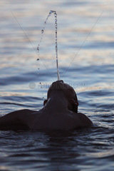 Bolsena  Italien  Silhouette  Junge spuckt beim Schwimmen Wasser in die Luft