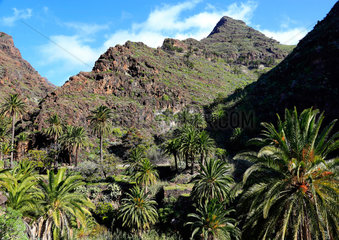 Valle Gran Rey  Spanien  Landschaft bei Valle Gran Rey auf La Gomera