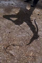 Berlin  Deutschland  Mann wirft beim Bogenschiessen einen Schatten auf den Boden