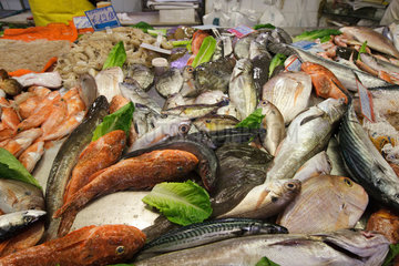Syrakus  Italien  frischer Fisch auf dem Markt