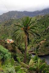 Vallehermoso  Spanien  Blick ins Tal von Vallehermoso auf der Insel La Gomera