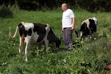 Prangendorf  Deutschland  Landwirt und Jungbullen auf einer fetten Weide