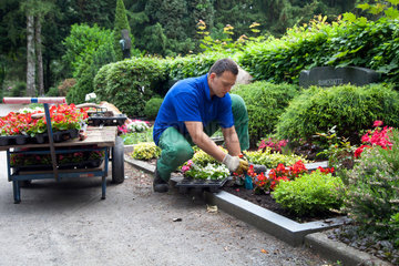Meerbusch  Deutschland  ein Friedhofsgaertner bepflanzt eine Grabstaette