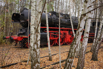 Berlin  Deutschland  eine Dampflokomotive im Natur-Park Schoeneberger Suedgelaende