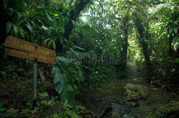 Laudat  Dominica  Clarkes River kreuzt den Trail zum Boeri Lake im Nationalpark Morne Trois Pitons