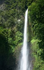 Pont Casse  Dominica  die Middleham Falls im Regenwald