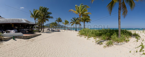 Puerto Plata  Dominikanische Republik  Kokospalmen am Strand Playa Dorada