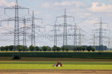 Dueren  Deutschland  Strommasten auf einem Feld