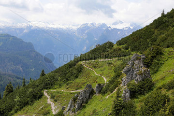 Berchtesgaden  Deutschland  Wanderweg auf dem Jenner mit Blick zur Bergkette Steinernes Meer
