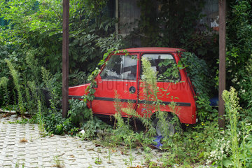 Berlin  Deutschland  ein roter Kleinwagen wird von Pflanzen ueberwuchert