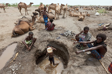 Awash  Aethiopien  Nomaden bewachen ihre Tiere in einem ausgetrocknetem Flussbett