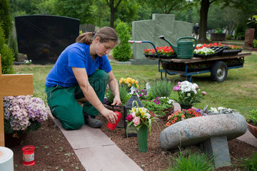 Meerbusch  Deutschland  eine Friedhofsgaertnerin bepflanzt eine Grabstaette