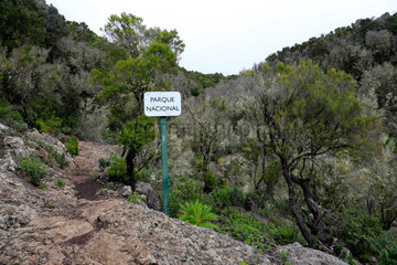Las Hayas  Spanien  Wanderweg zum Nationalpark Garajonay auf La Gomera