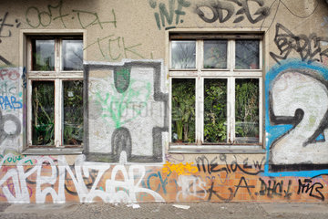 Berlin  Deutschland  mit Zimmerpflanzen zugewachsenes Fenster eines Altbaus