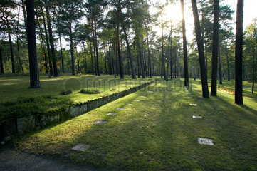 Halbe  Deutschland  Waldfriedhof