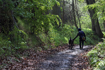 Neu Kaetwin  Deutschland  Junge laeuft mit einem Hund durch einen Wald