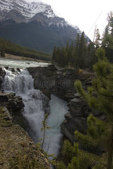 Jasper  Kanada  Blick auf die Athabasca Falls