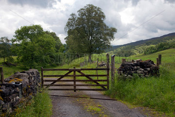 Pitlochry  Grossbritannien  Landschaft mit Weg und Holzgatter in den schottischen Highlands