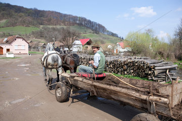 Biertan  Rumaenien  ein Bauer auf seiner Kutsche im Dorf