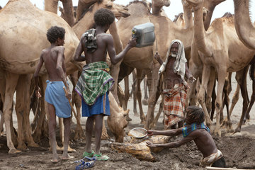 Awash  Aethiopien  Nomaden graben in einem ausgetrockneten Flussbett mit der Hand nach Wasser